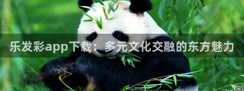 卧龙娱乐2平台