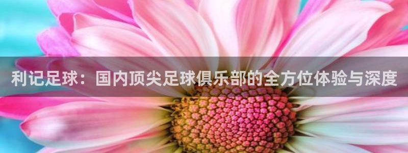卧龙娱乐体育免费注册入口：利记足球：国内顶尖足球俱乐部的全方位体验与深度