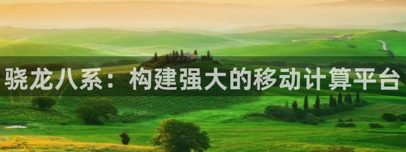 卧龙娱乐3登陆：骁龙八系：构建强大的移动计算平台
