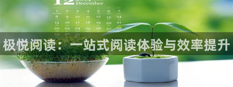 卧龙娱乐体育游戏：极悦阅读：一站式阅读体验与效率提升