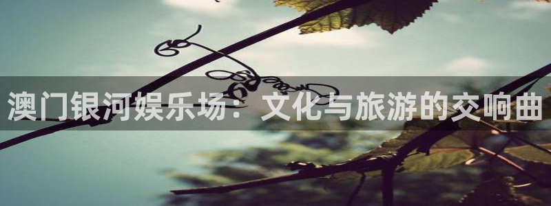 卧龙娱乐体育注册平台：澳门银河娱乐场：文化与旅游的交响曲