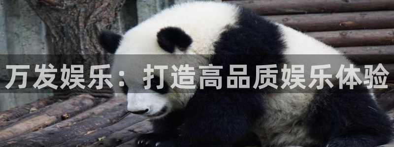 卧龙娱乐体育娱乐注册链接：万发娱乐：打造高品质娱乐体验