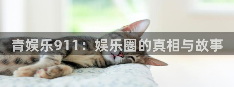 卧龙娱乐4平台：青娱乐911：娱乐圈的真相与故事