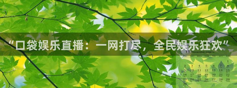 卧龙娱乐体育官网登录：“口袋娱乐直播：一网打尽，全民娱乐狂欢”