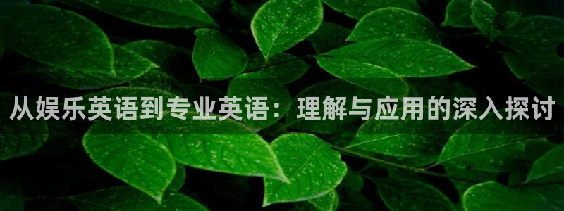 卧龙娱乐体育：从娱乐英语到专业英语：理解与应用的深入探讨