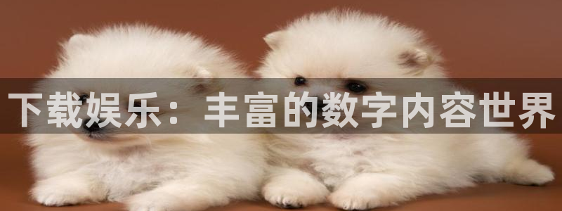 卧龙娱乐2注册：下载娱乐：丰富的数字内容世界