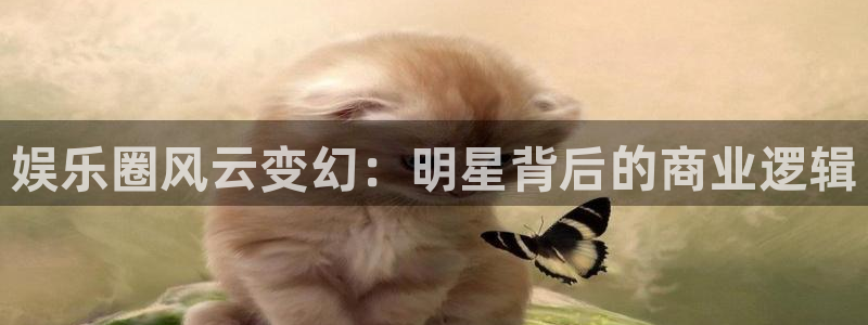 卧龙娱乐体育论坛：娱乐圈风云变幻：明星背后的商业逻辑