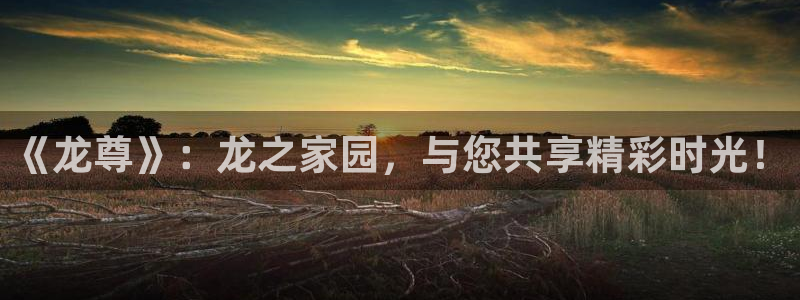 卧龙娱乐体育用品：《龙尊》：龙之家园，与您共享精彩时光！