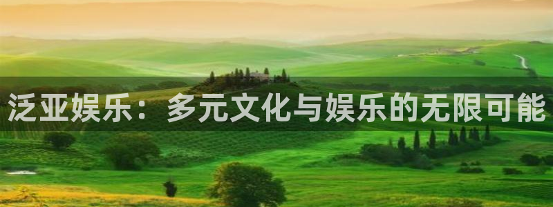 卧龙娱乐主管：泛亚娱乐：多元文化与娱乐的无限可能