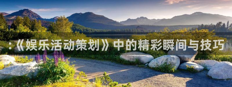 卧龙娱乐体育平台开号链接：:《娱乐活动策划》中的精彩瞬间与技巧
