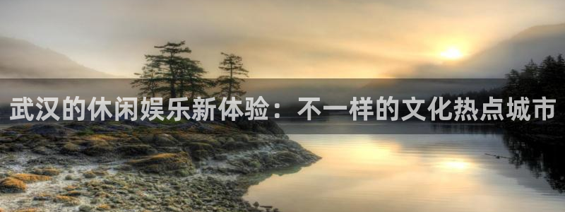 卧龙娱乐4官网