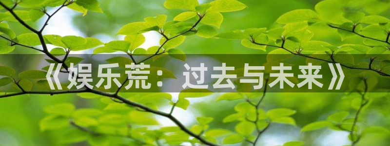 卧龙娱乐4平台注册：《娱乐荒：过去与未来》