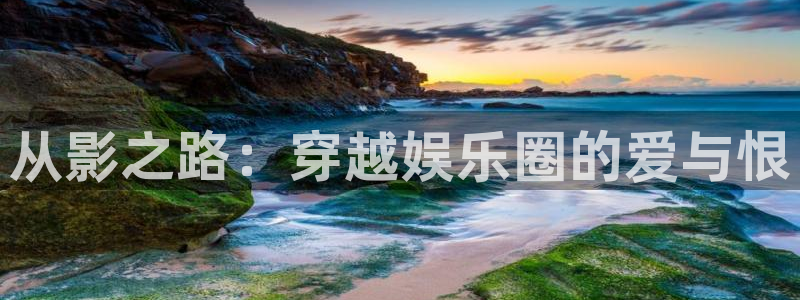 成都卧龙娱乐电子有限公司：从影之路：穿越娱乐圈的爱与恨