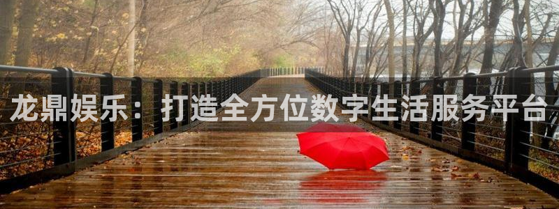 卧龙娱乐环保：龙鼎娱乐：打造全方位数字生活服务平台